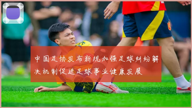 中国足协发布新规加强足球纠纷解决机制促进足球事业健康发展